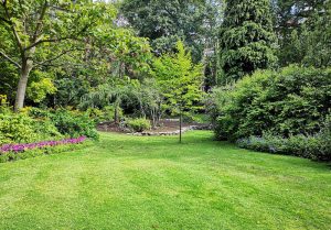 Optimiser l'expérience du jardin à La Villeneuve-les-Charleville